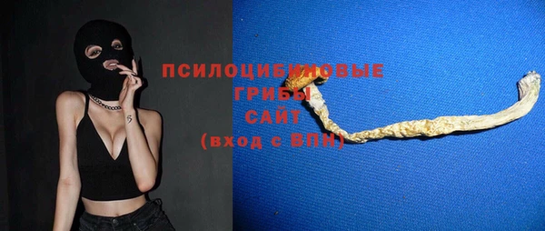 молекула духа Новокубанск